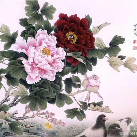 水风井（阿哥）的美篇