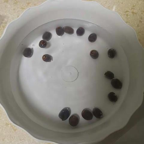 琪乐无穷。的美篇