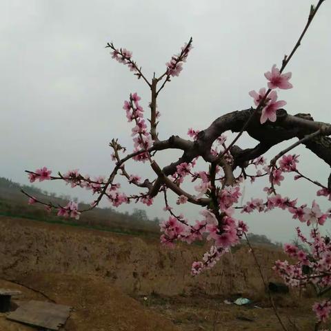 小雨淅沥，情意悠绵