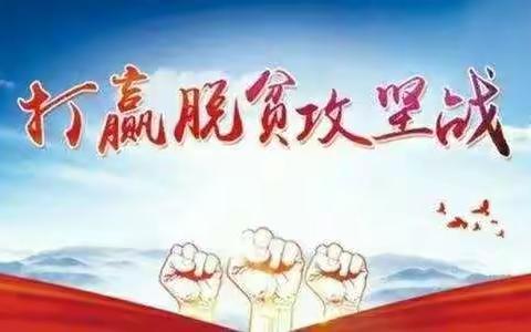 无惧风雨，我们在脱贫攻坚路上             —黑林子镇中心小学校脱贫攻坚专项行动纪实