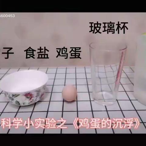 仁化县红苹果🍎幼儿园——科学游戏活动《有趣的沉浮》