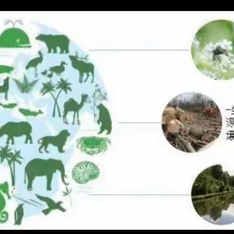 保护生物       维护地球家园一一东长寿学校三6中队