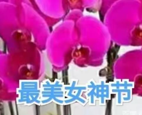 暖心行动致魅力女神节一一东长寿学校三6中队