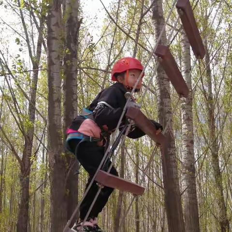 丛林冒险，挑战自己的心理极限——杨鑫玥五一研学