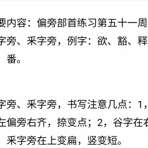 支教岛汉字书写素养第4班第99周成长记录