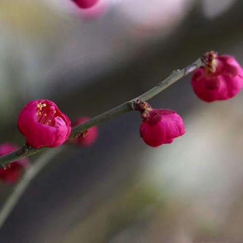 居家得学练  一往更无前