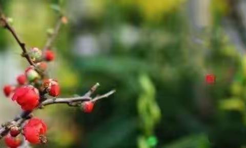 我们应该追的星  我们应该负的行