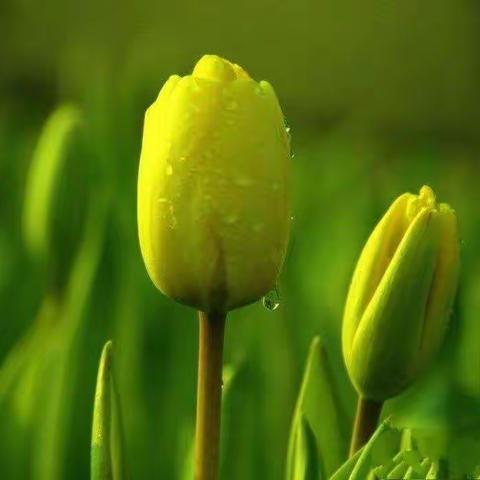 自律更前行  教学相长中