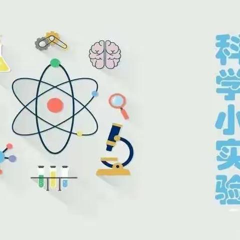 三站镇中心幼儿园家庭教育指导资源科学活动《会游泳的鸡蛋》