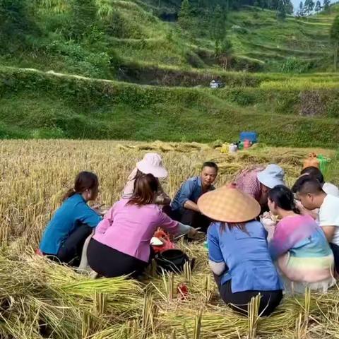 田间的午餐