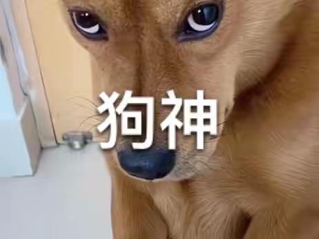 讀狗