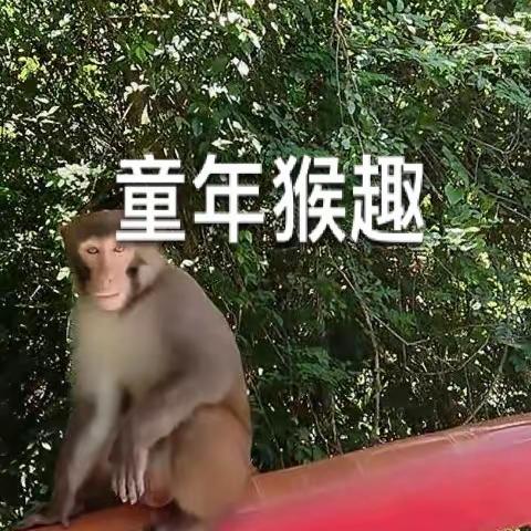 童年猴趣