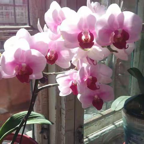 修身养心的美篇——童年