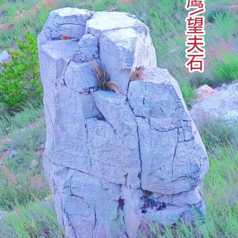 老牛湾双乳情侣石鹰