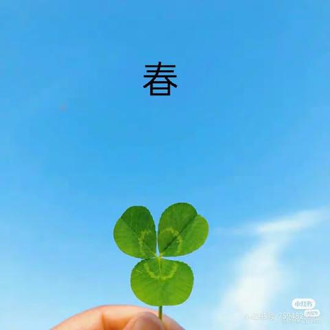 【遇见三月🍀，爱在心间❤️】——张北县第二幼儿园中一班三月份主题总结