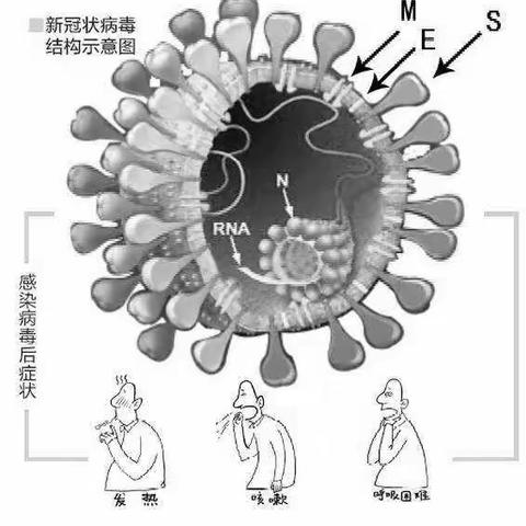 共克时艰，励志前行                               凤翔中学七五班主题班会