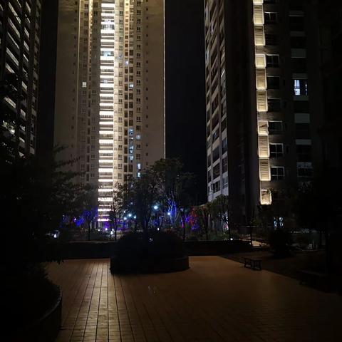 我的2020