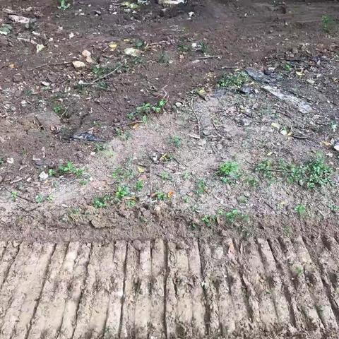 公坡镇完成6个违法图斑整体拆除处置