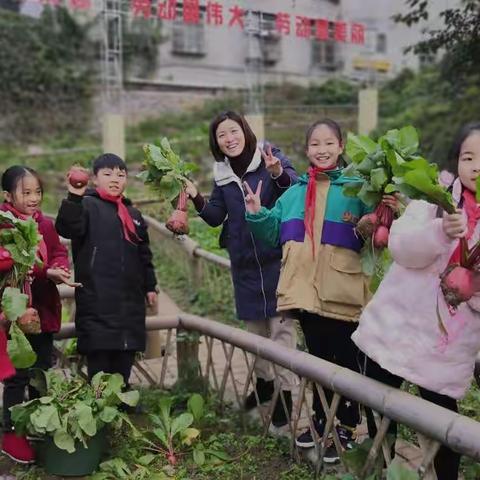 劳动让人生更精彩