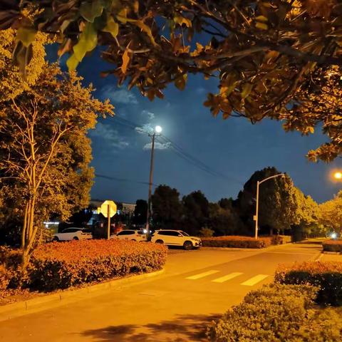 星光不问赶路人