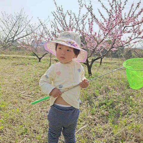 淘气的小宝（两岁3个月—4个月）