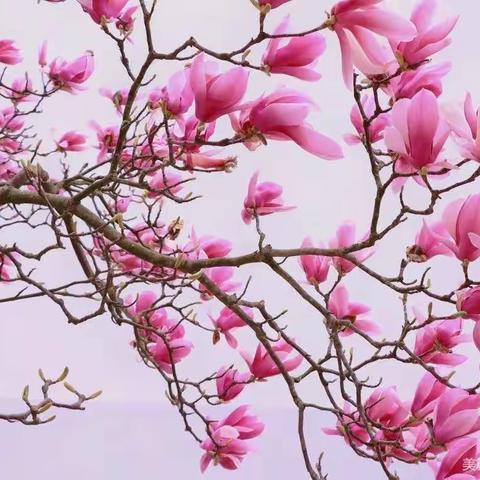 马萌  海信空调的美篇