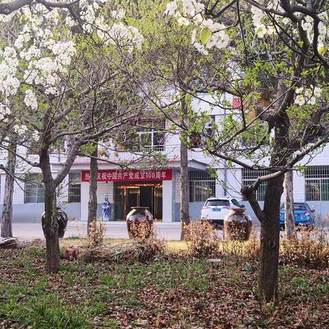 午城酒业喜迎“第十一届梨花节”