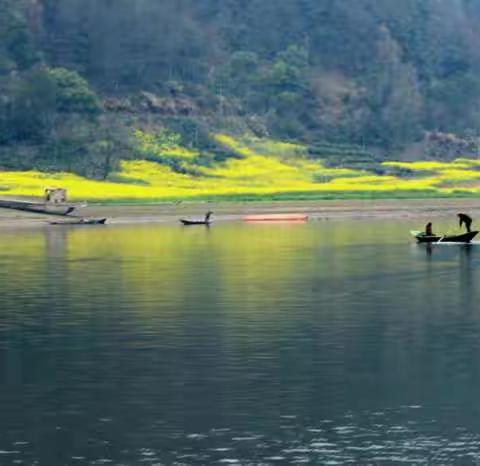 烟雨三月，醉美画中行。