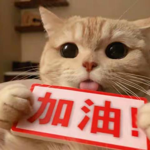 第五组周知识总结