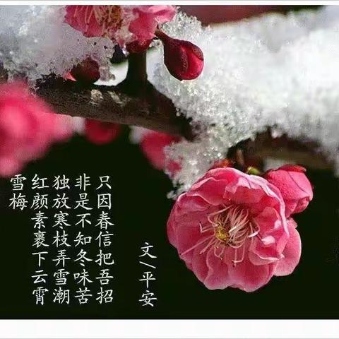 梅兰竹菊