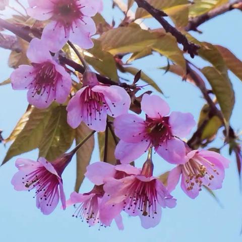 春暖花开又一年