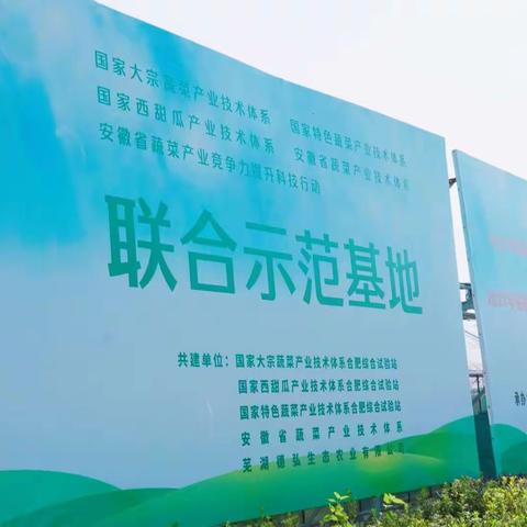 “走进蔬菜基地，了解科学种植”镜湖幼儿园中班组开展社会实践活动