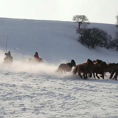 坝上乌兰布统冰雪世界五日游（包含费用说明）