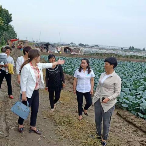 未央区计生协对计划生育创业家庭进行查勘验收