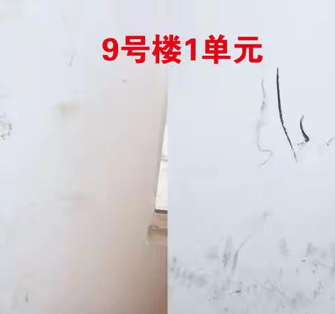 “不文明行为让小区公共设施、环境很受伤”