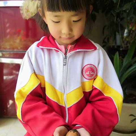 妈妈，你是我至上的阳光