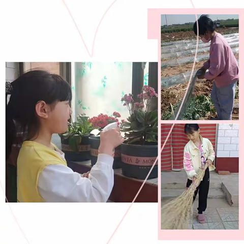 别样的“五一”，快乐的劳动——朱秦庄小学（劳动篇）
