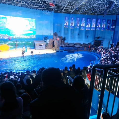 临沂海洋主题公园