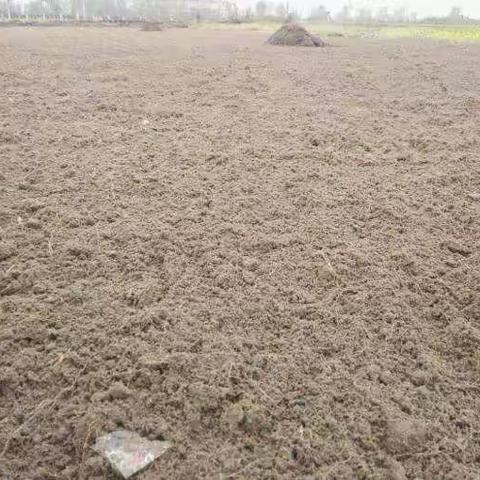 清明时节雨纷纷，未到惊蛰已春耕……