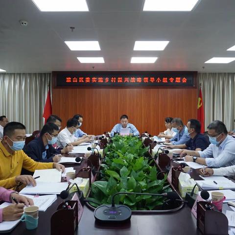 琼山区委实施乡村振兴战略领导小组召开专题会