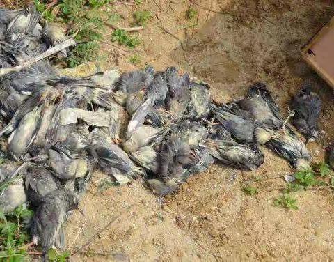 敬畏自然就是尊重我们自己