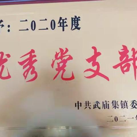 武庙集镇汪小庄村党支部事迹材料