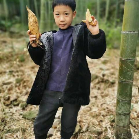 庚子迎春入屠苏，阖家团圆庆新年。瘟神突袭扰安康，山河万里俱飘摇。党的号令一声响，中华儿女齐抗争。
