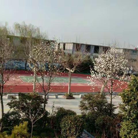 名师引领，聚智统整－滕州市北辛街道荆泉小学数学教研组积极参加全省小学数学教研大讲堂研讨活动