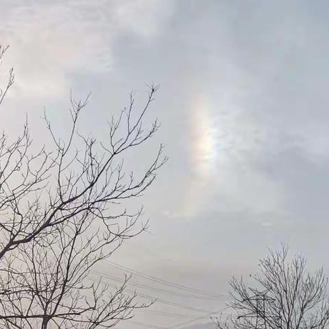 “隔离不隔爱 处处繁华开—我宅我快乐”  铜业公司原料分厂 李正琴