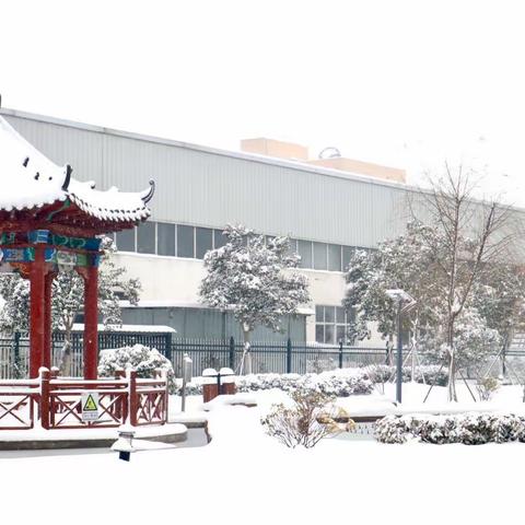 党员先锋在行动 除雪抗冰保安全