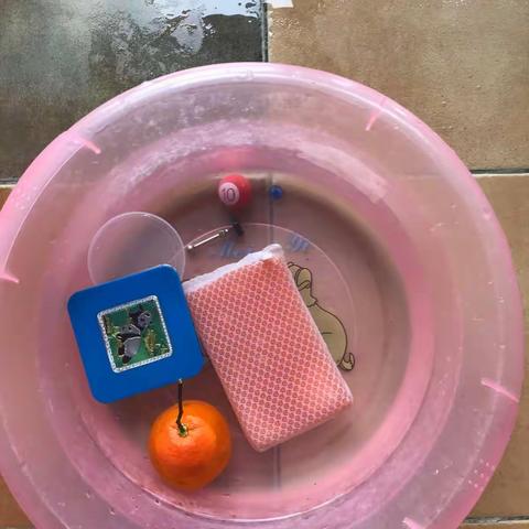 谁主沉浮？——小实验探索浮力的奥秘