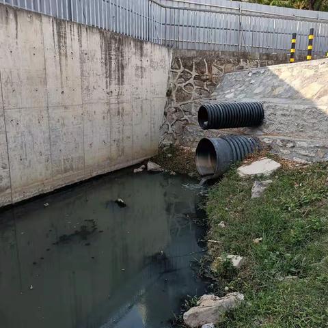 溪泽三桥至丰兴隆桥左岸排污问题