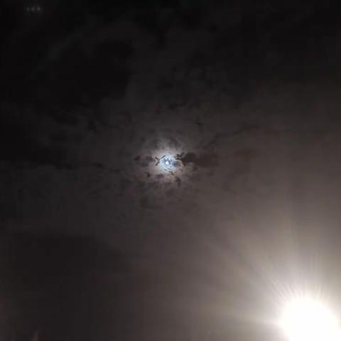 深夜•月