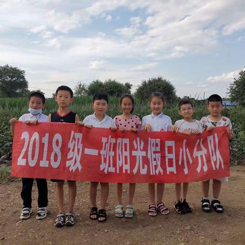 体验采摘快乐，品尝收获喜悦———黑河市第六小学  三年一中队假日采摘活动